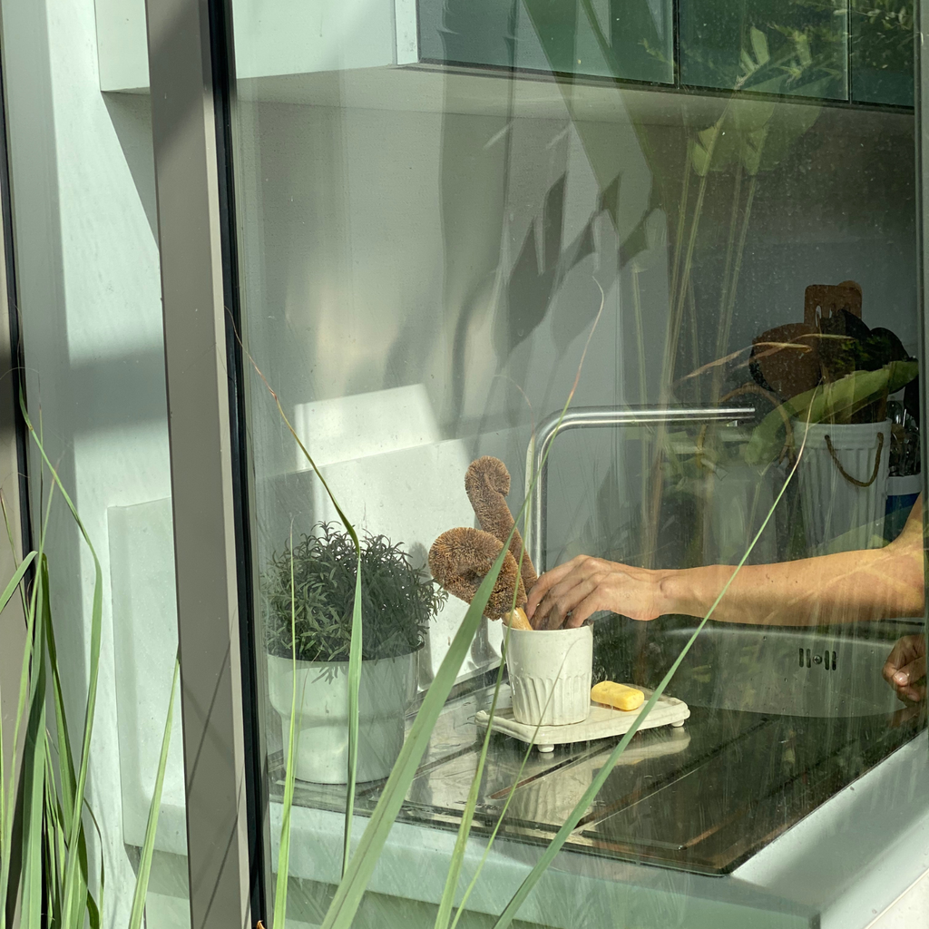 Plastic-Free Dishwashing Brush